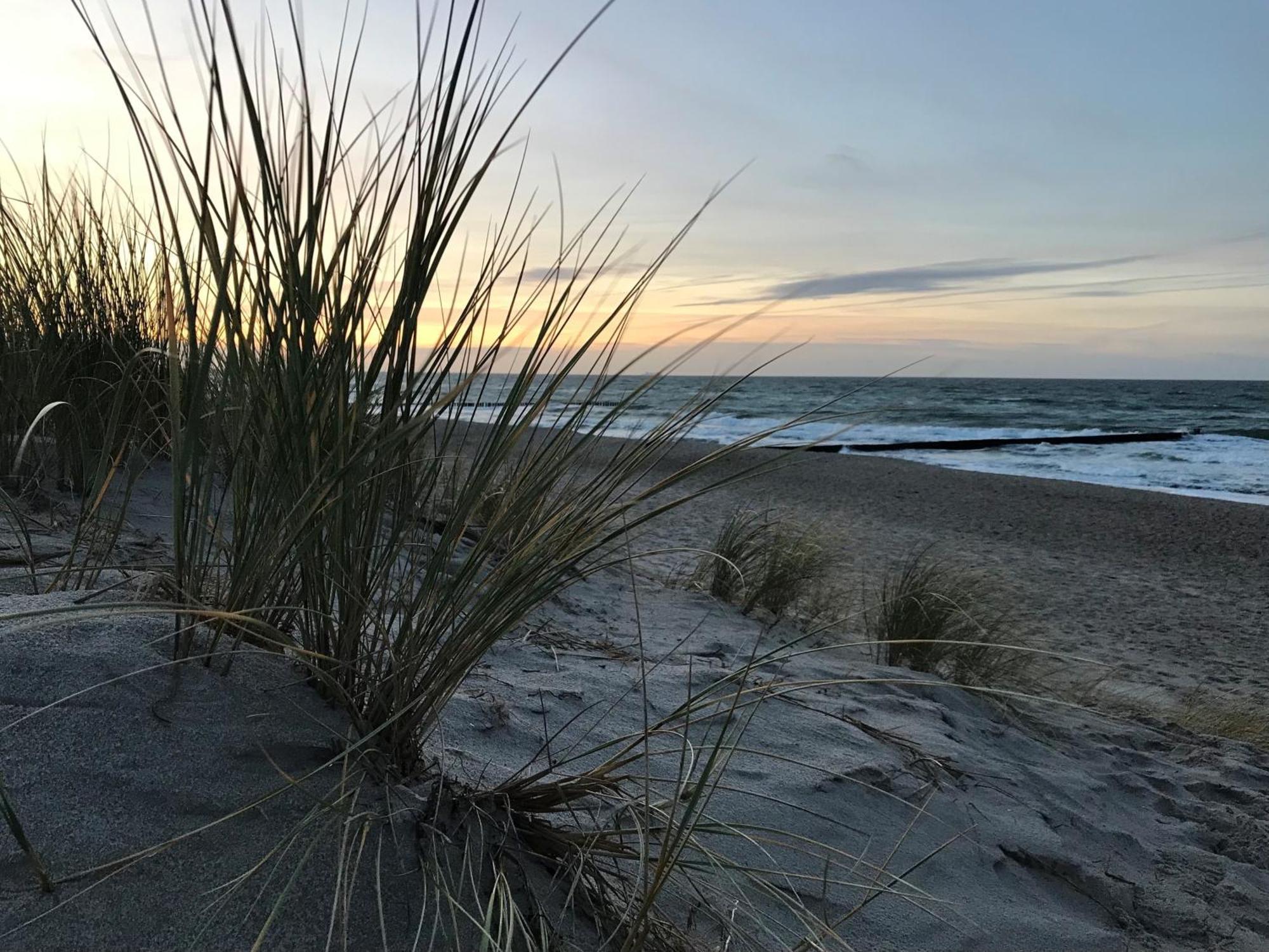Ferienwohnung Strandkoje Dierhagen Eksteriør bilde